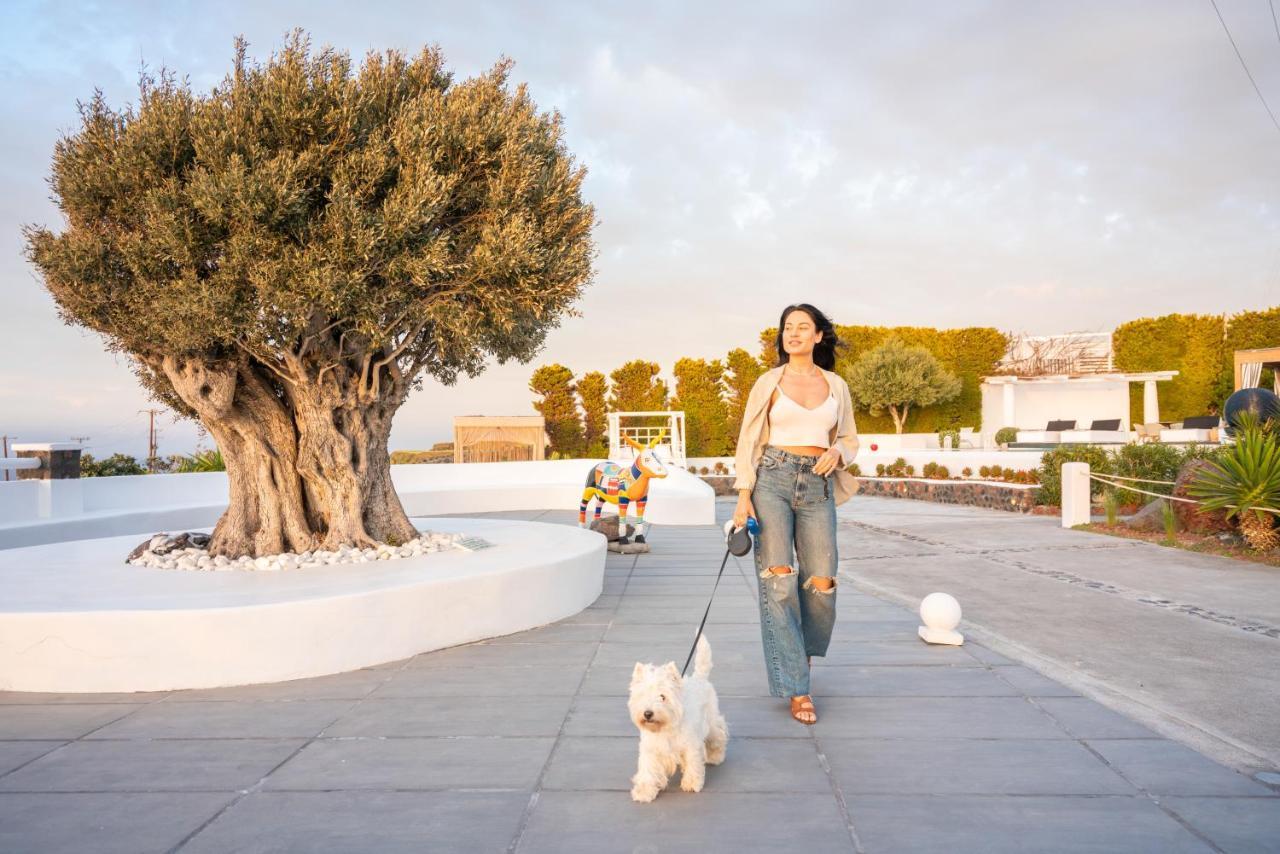 Oia Sunset Villas מראה חיצוני תמונה